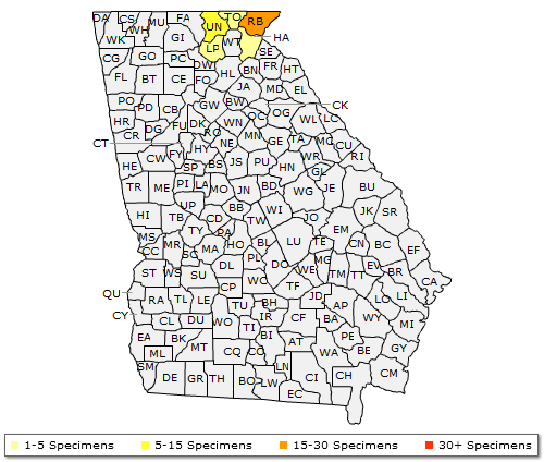 The range of Clethra acuminata